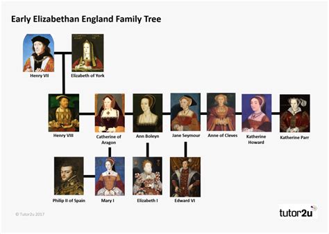 tudor genealogy tree|descendants of henry vii england.